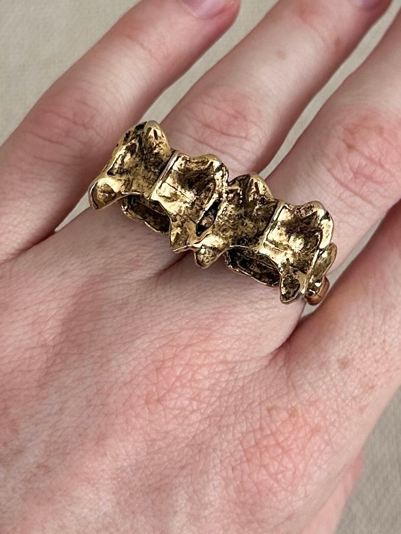 Vertebrae Two Finger Knuckle Ring